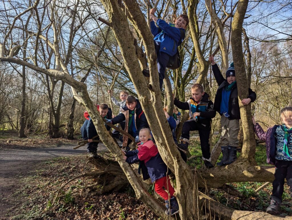 Beavers exploring nature